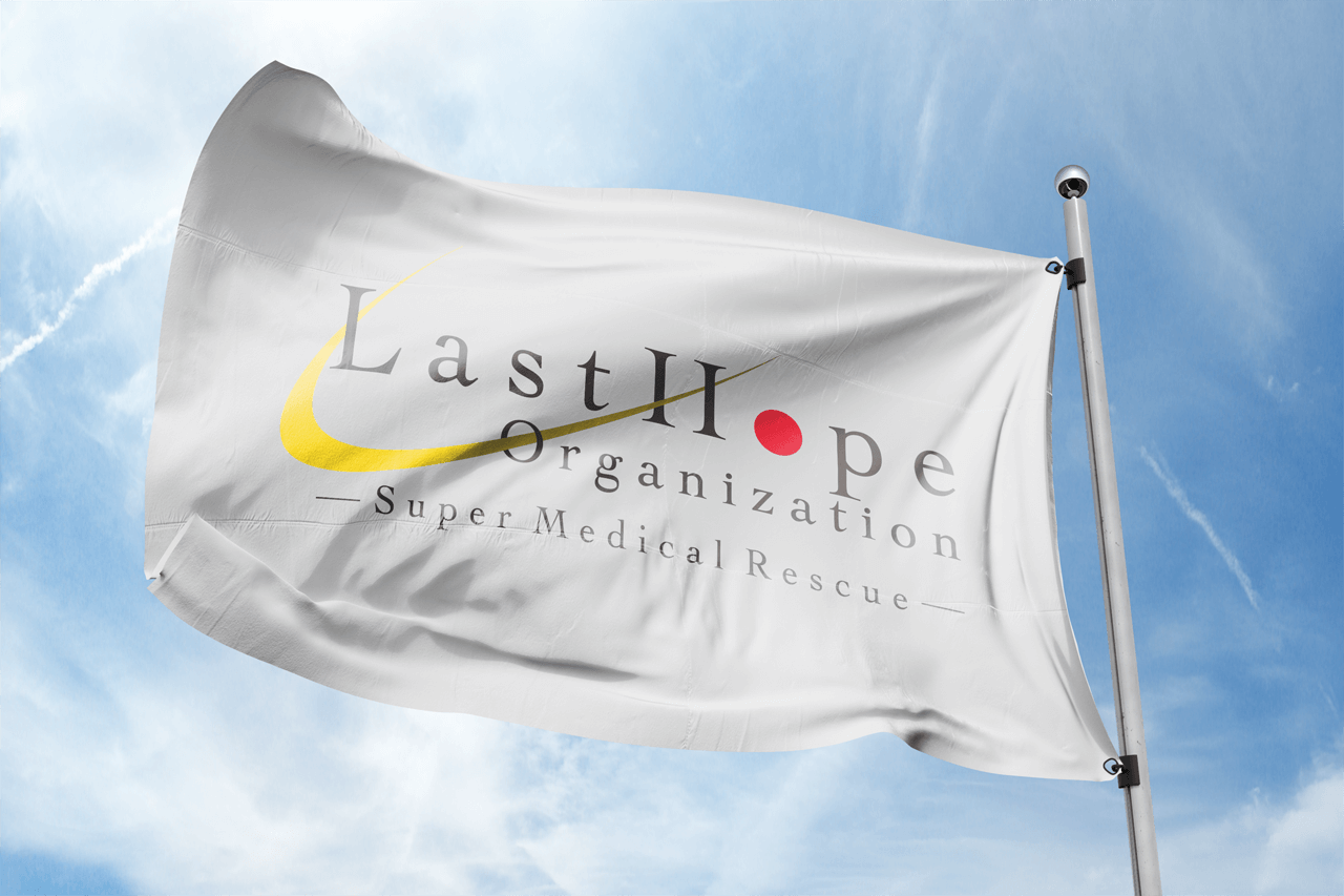 Last Hope Logo Flag