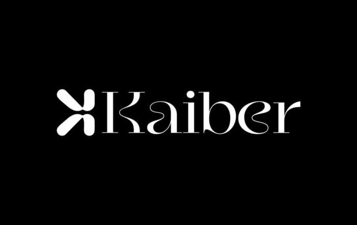 Open Bookmarks Co. Blog Website AI Kaiber