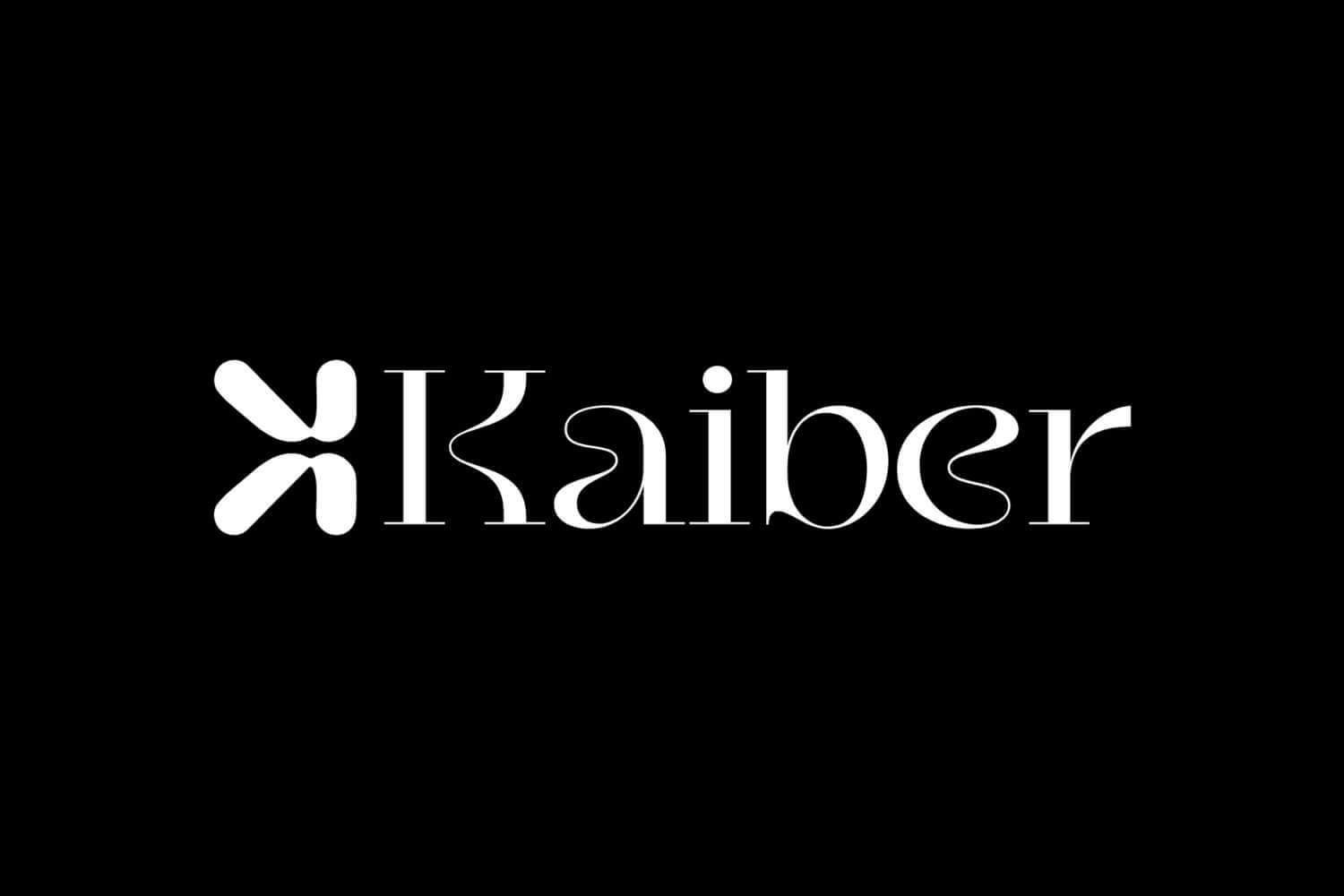 Open Bookmarks Co. Blog Website AI Kaiber